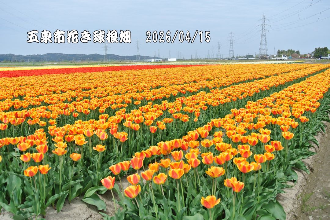 季節の屋外活動の写真